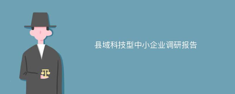 县域科技型中小企业调研报告