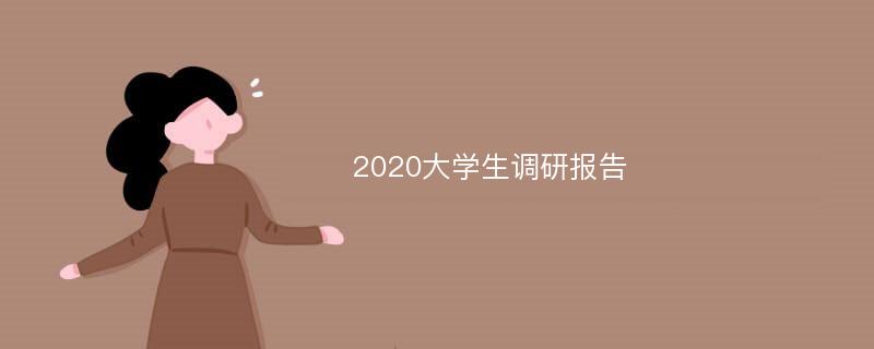 2020大学生调研报告