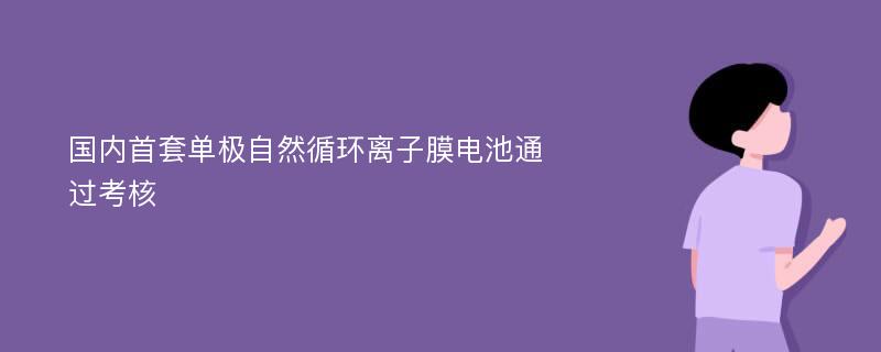 国内首套单极自然循环离子膜电池通过考核